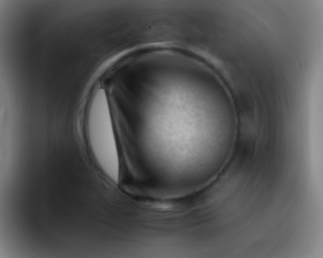 X0000091471319200709241258