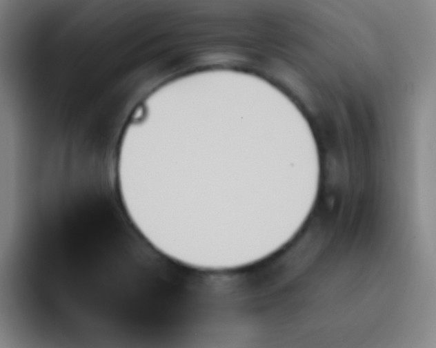 X0000091471322200709241258