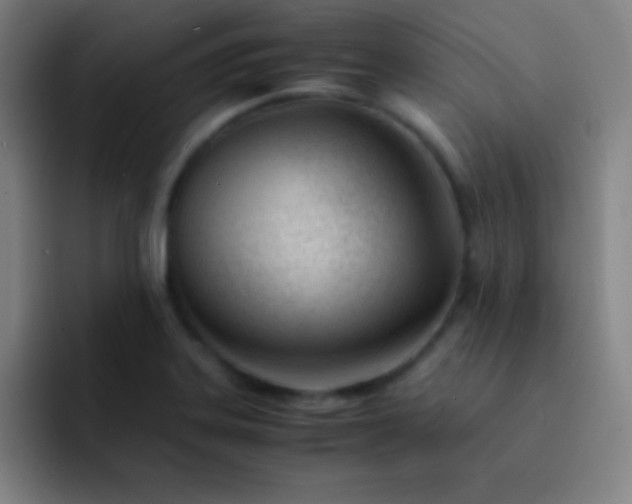 X0000091471323200709241258