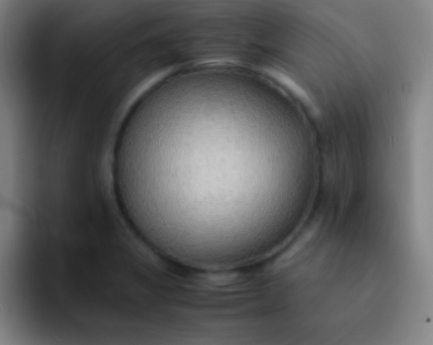 X0000091471325200709241258