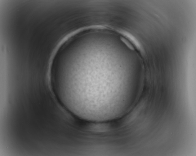 X0000091471327200709241258