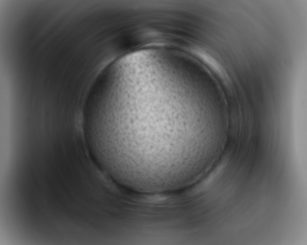 X0000091471329200709241258