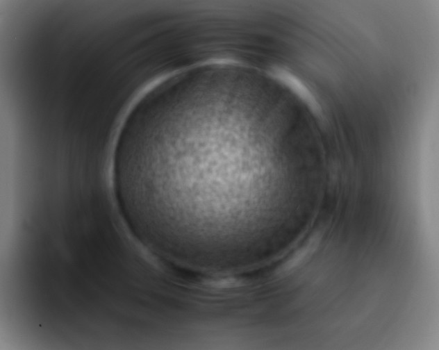 X0000091471331200709241258