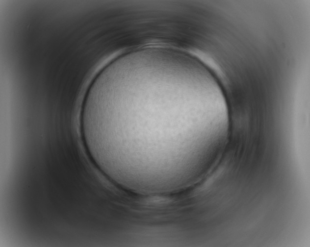 X0000091471333200709241258