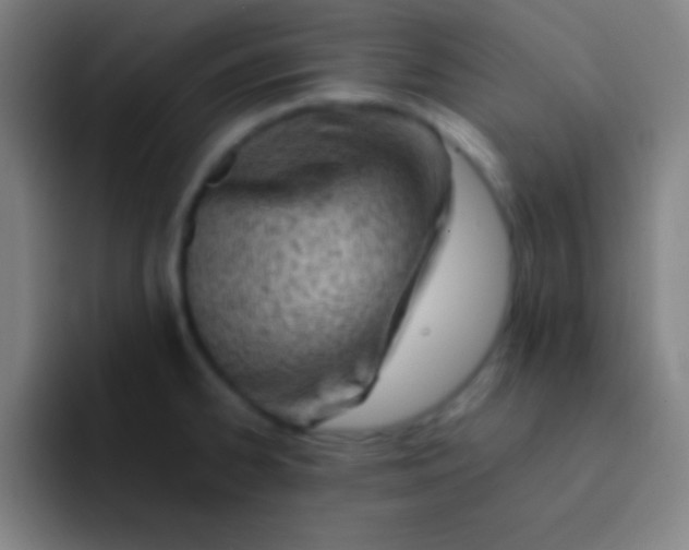 X0000091471334200709241258