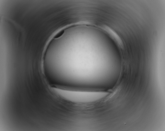 X0000091471340200709241258