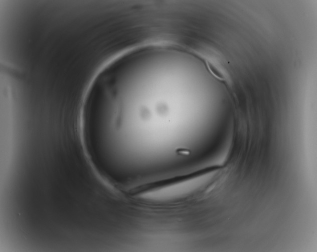 X0000091471343200709241258