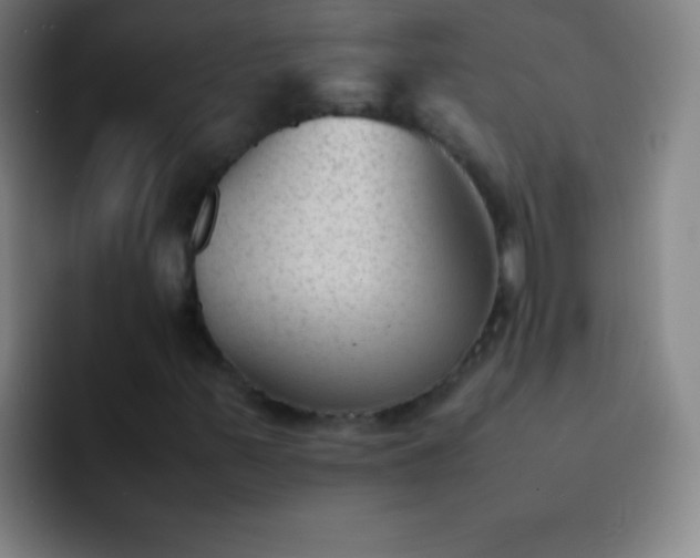 X0000091471347200709241258