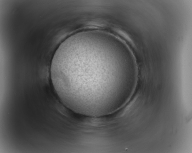 X0000091471355200709241258