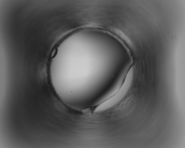 X0000091471356200709241258