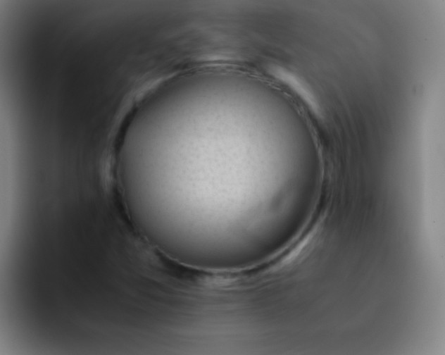 X0000091471357200709241258