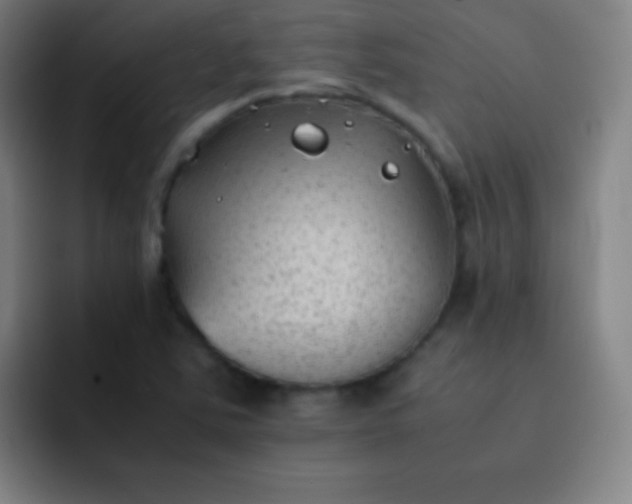 X0000091471363200709241258