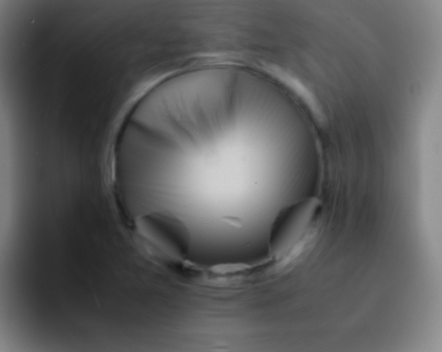 X0000091471365200709241258