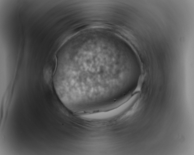 X0000091471369200709241258