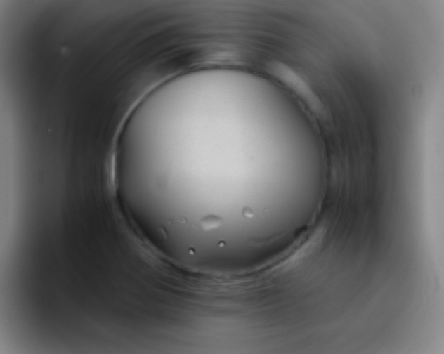 X0000091471370200709241258