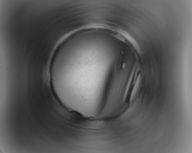 X0000091471372200709241258