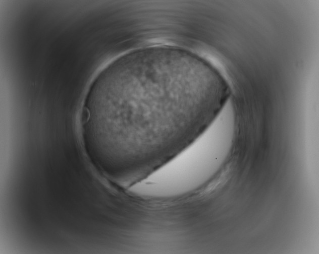 X0000091471373200709241258