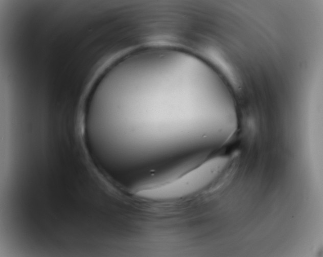 X0000091471376200709241258