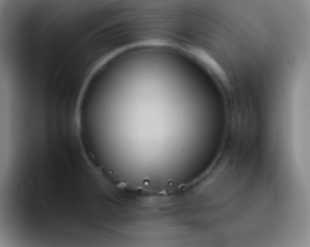 X0000091471380200709241257