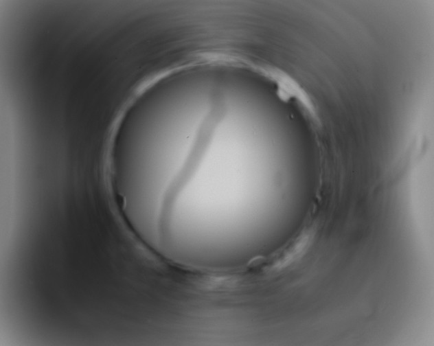 X0000091471381200709241257