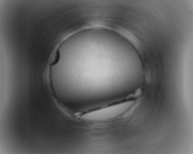 X0000091471382200709241257