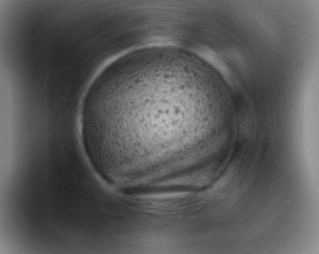 X0000091471383200709241257