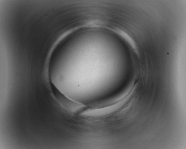 X0000091471384200709241257