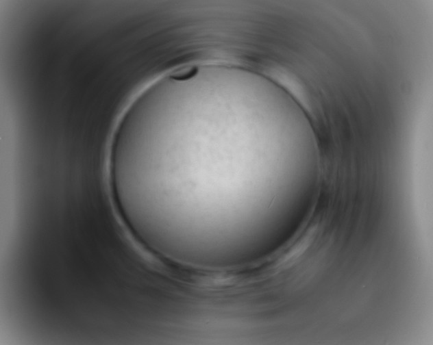 X0000091471387200709241257