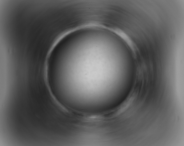 X0000091471390200709241257