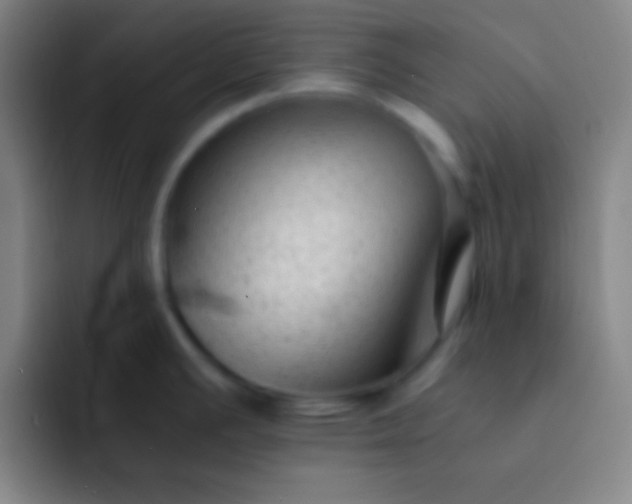 X0000091471391200709241257