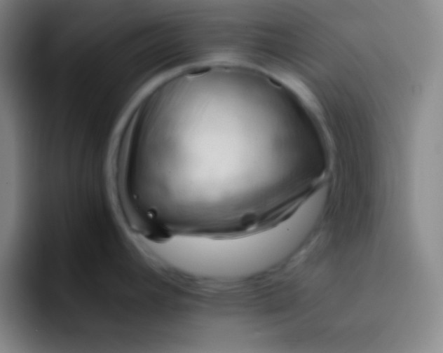 X0000091471392200709241257