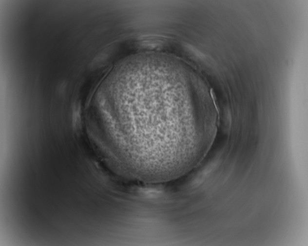 X0000091471394200709241257