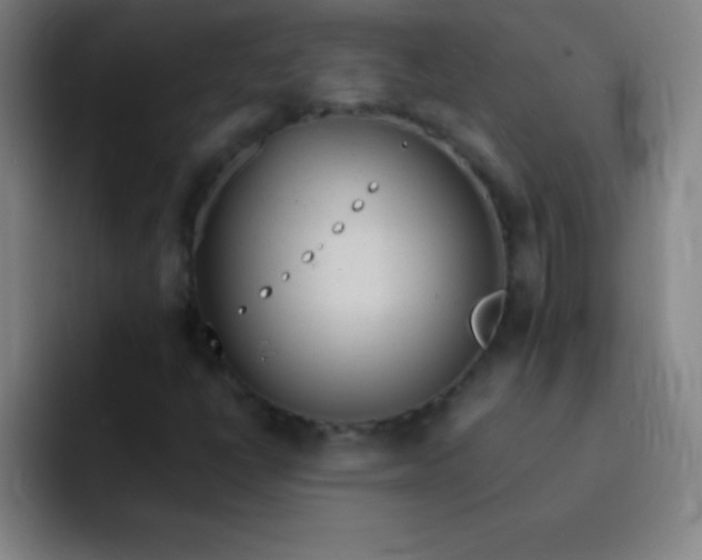 X0000091471398200709241257