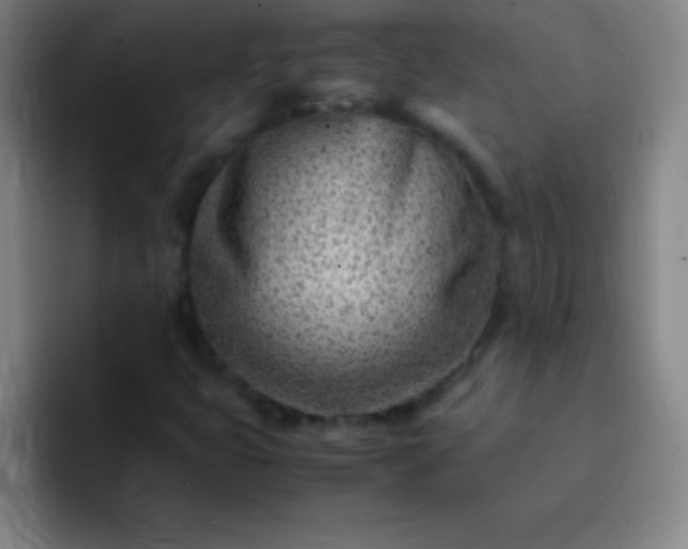 X0000091471399200709241257