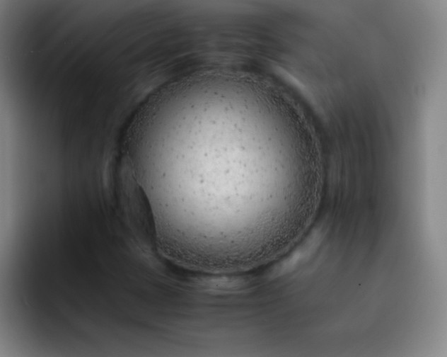 X0000091471401200709241257