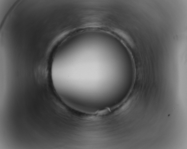 X0000091471406200709241257