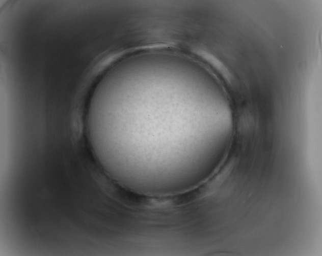 X0000091471407200709241257