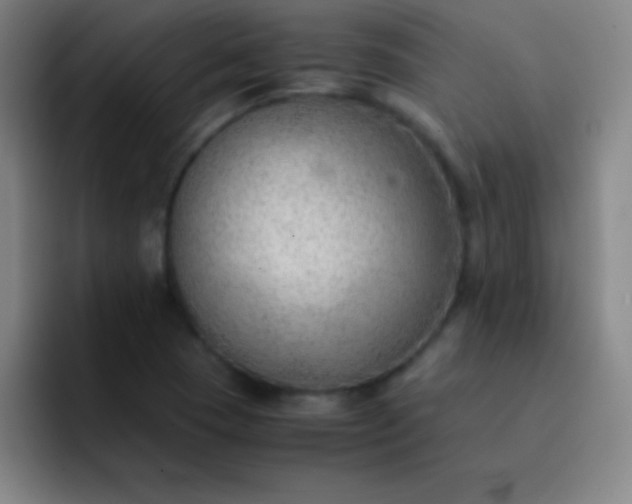 X0000091471409200709241257