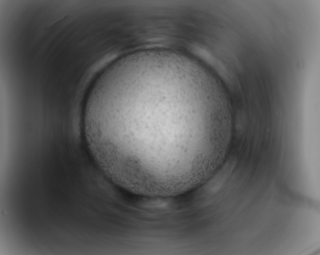 X0000091471411200709241257