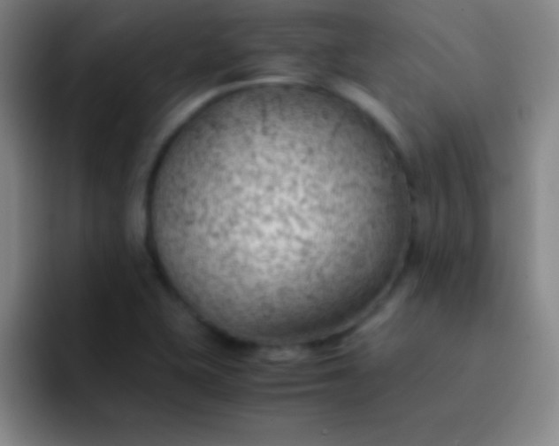 X0000091471415200709241257