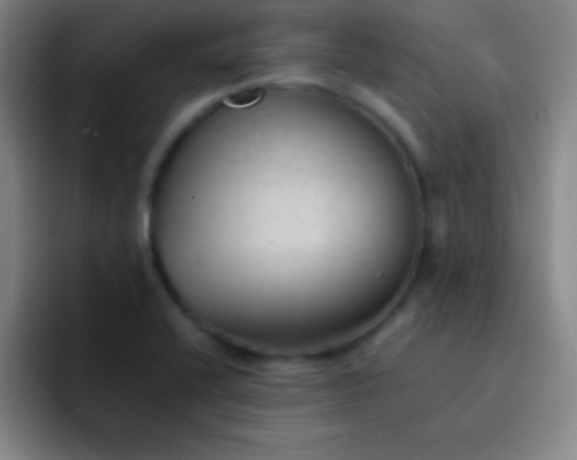 X0000091471416200709241257