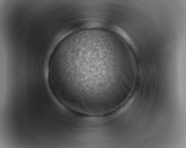 X0000091471418200709241257