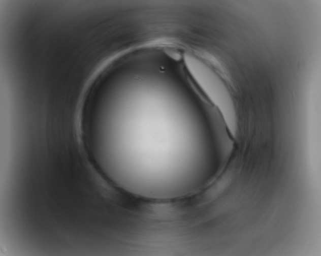 X0000091471422200709241257