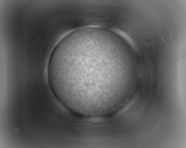 X0000091471423200709241257