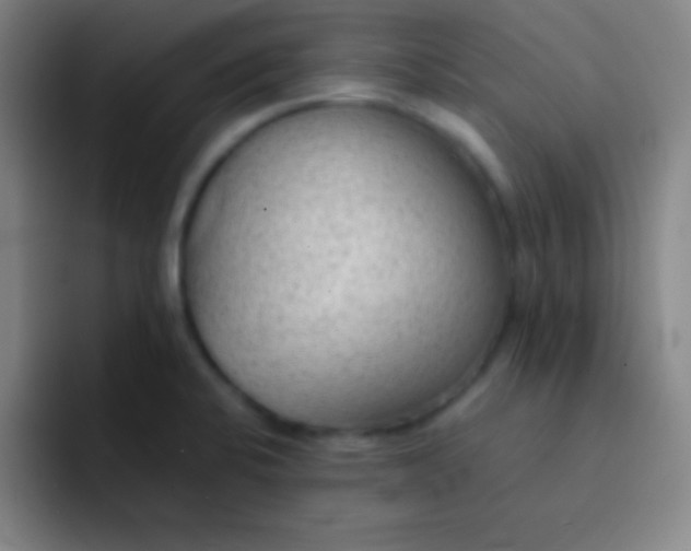 X0000091471424200709241257