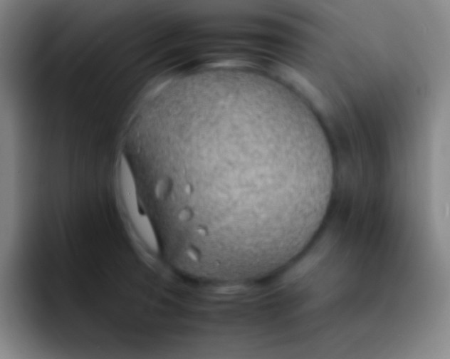 X0000091471425200709241257