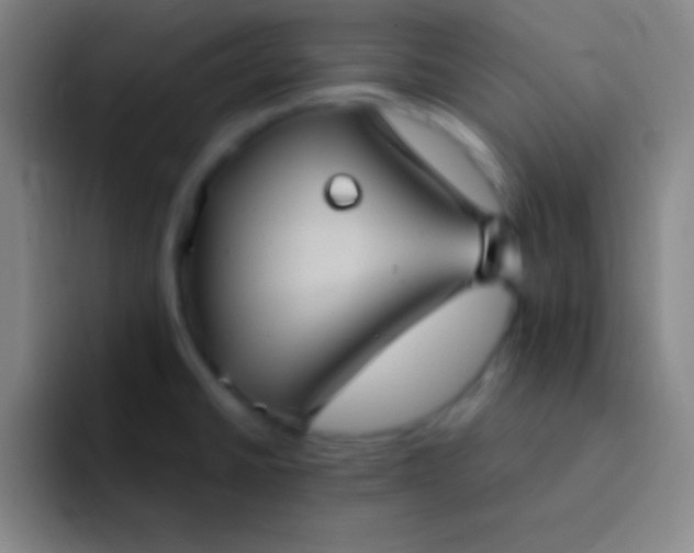 X0000091471430200709241257