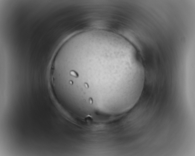 X0000091471431200709241257