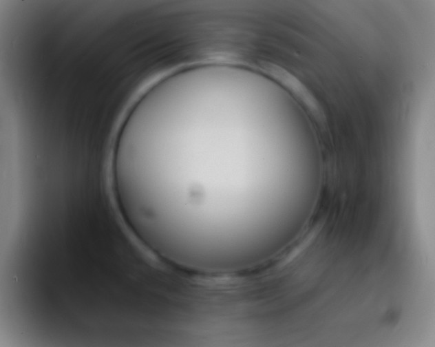 X0000091471432200709241257