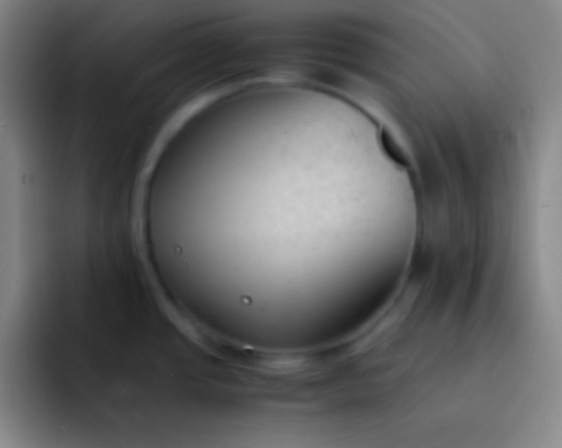 X0000091471437200709241257